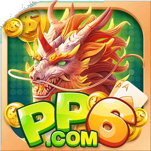 PP6.COM